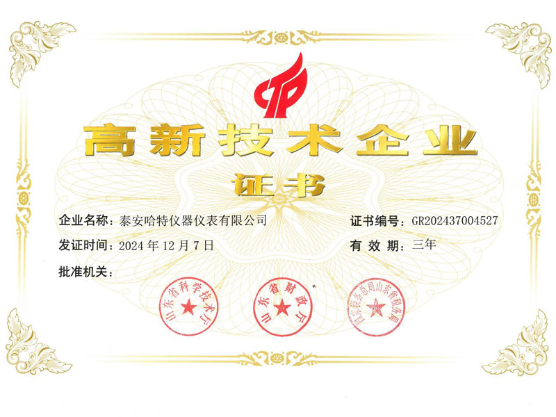 高新 技術企業(yè)